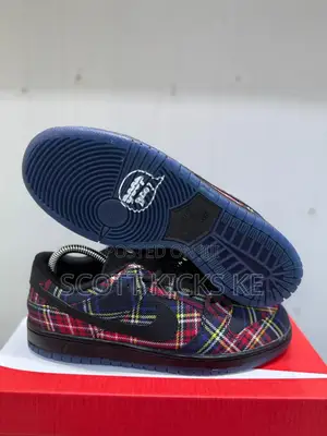 Nike Sb ×Nardwuar Low Dunk 