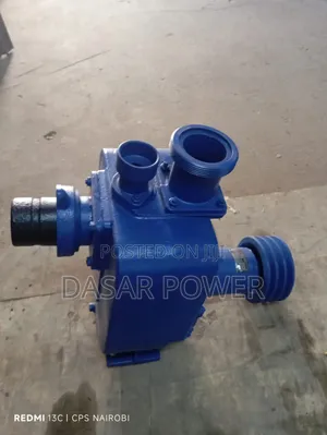 3 Inch Bare Pump