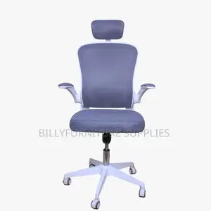 Premium Orthopedic High Back Chair for Office Use