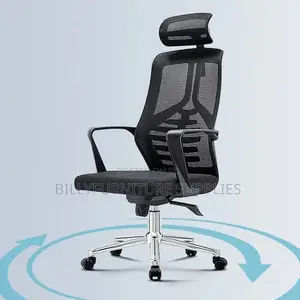 Ergonomic Orthopedic High Back Chair for Healthy Sitting