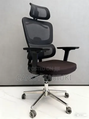 Ergonomic Orthopaedic Office Chair