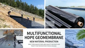 Multifunctional Liners