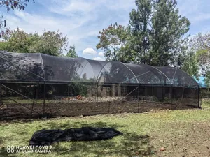 55% 4m By 50m Agricultural Shade Nets