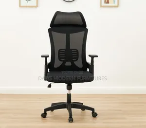Executive Office Chair