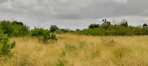 Cheap Land for Sale