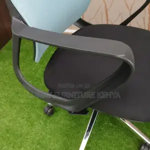 Blue Ergonomic Office Chair