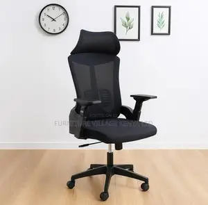 High-back Chairs: Exeutive Lama Orthopedic Office Seat