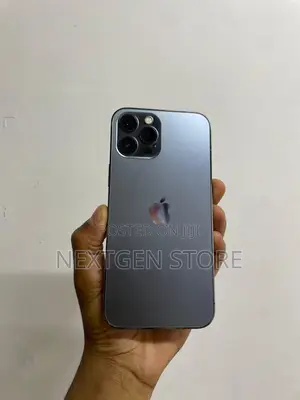 Apple iPhone 12 Pro Max 128 GB Gray