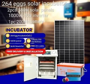 264 Eggs Solar Incubator Full Set Off-Grid Power Plus Installation