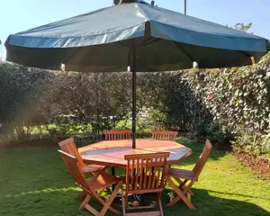 Home Green Outdoor Foldable Chairs Shades