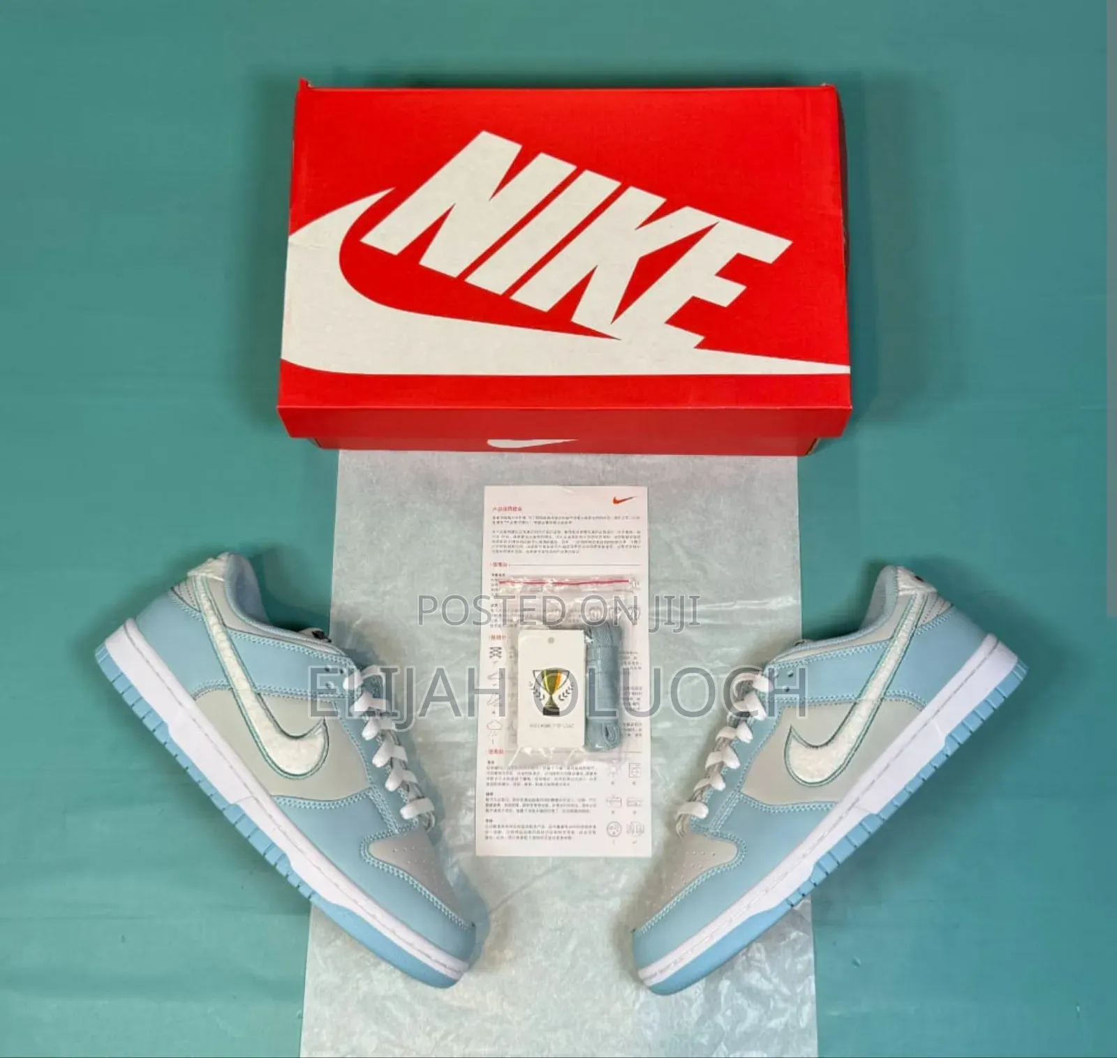 Nike Dunk Low Worn Blue