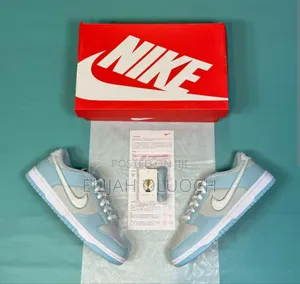 Nike Dunk Low Worn Blue