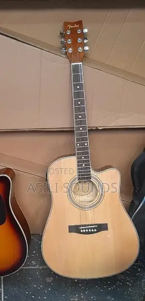 Aucostic Electric Guitar