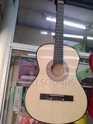 Classic Aucostic Guitar