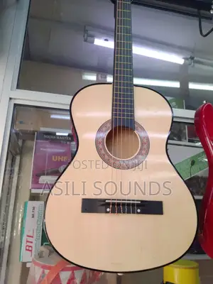 Classic Aucostic Guitar