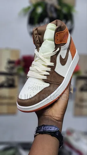 Nike Air Jordan 1 Dusted Clay High