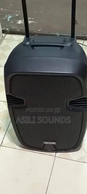 Aone 12-Inch Rechargeable Portable Amplified Powered Speaker System.