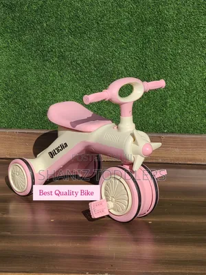 Safe Ride Kids Durable Tricycle