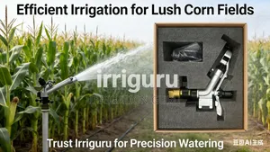 Raindance Sprinkler System