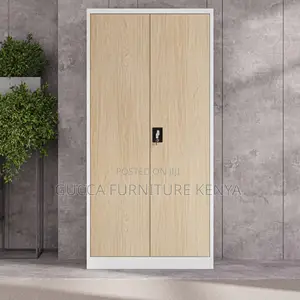 Modern 2-door Metallic Document Cabinet