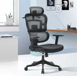 Modern Office Chair : Orthopedic Office Seat