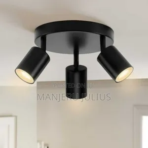 3way Ceiling Light