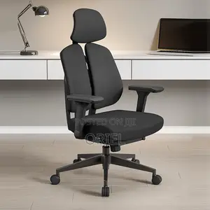 Office Orthopedic Chair : Dual Backrests E Adjustable Office Chair