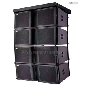 TSG 8 Inch Double Line Array Passive Speakers