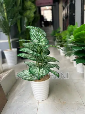 1metre Big Artificial Plant + Pebbles + Plus Vase