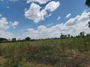 50 X 100 Plots in Ngata Verovian for Sale