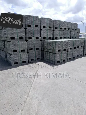 Cabro Paving Bricks