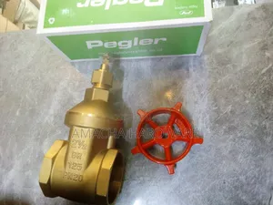 21/2 Pegler Gate Valve