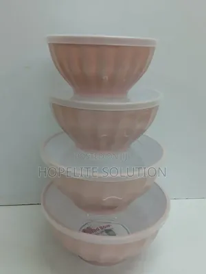 4 in 1 Salad /Storage Bowls Set