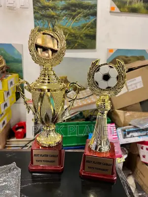 School Award Trophies – Brand New