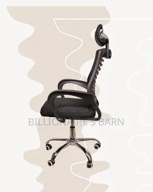 Ergonomic Mesh Chair | Workday Comfort, Lumbar Support Built-In