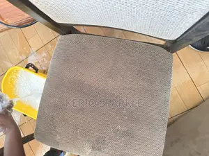 Sofa Cleaning