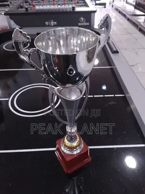Professional Award Trophies for Ceremonies