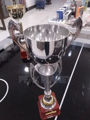 Competition Award Trophies – Various Designs