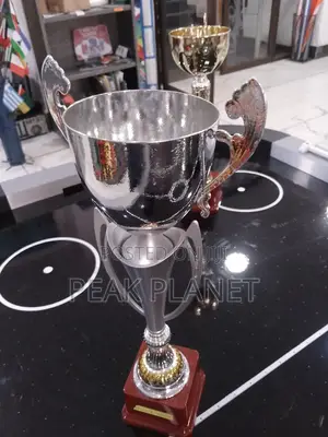 Customizable Award Trophies – Brand