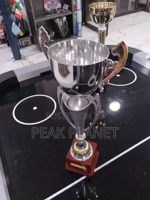 Durable Award Trophies – Premium Quality