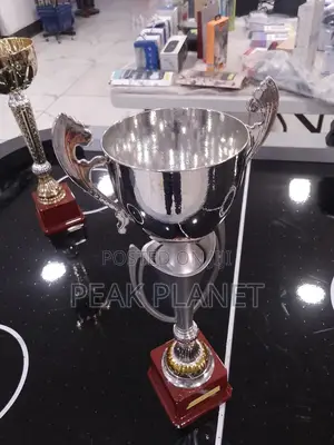 Sports Day Award Trophies – Ready for Delivery