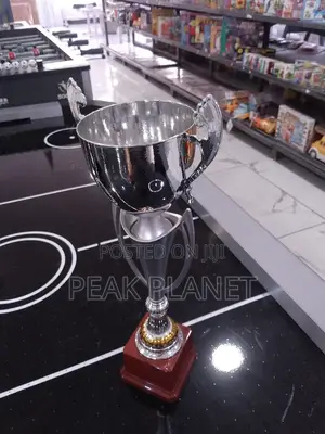 Award Trophies for Schools Institutions