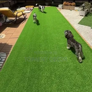 20mm Dogs Training Artificial Green Grass Carpet