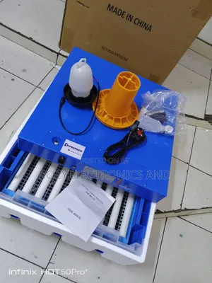 Eggs Incubator