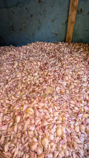 Garlic Cloves/Seeds