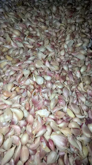 Garlic Cloves/Seeds