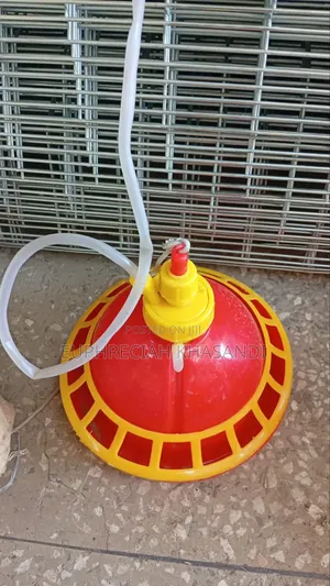 Chicks Automatic Drinker