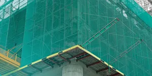 Scaffold Nets