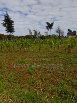 1 Acre Murengeti, Limuru