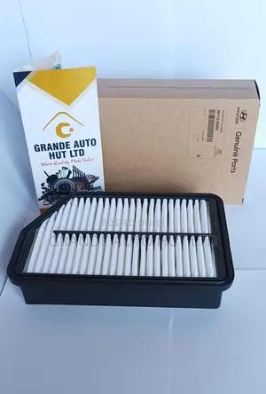 Air Filter Hyundai Ix35 Geniune / Tucson / Sportage 2010- 2015